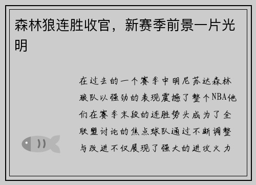 森林狼连胜收官，新赛季前景一片光明